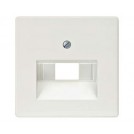 Placa frontala priza date alb titan Delta Line Siemens